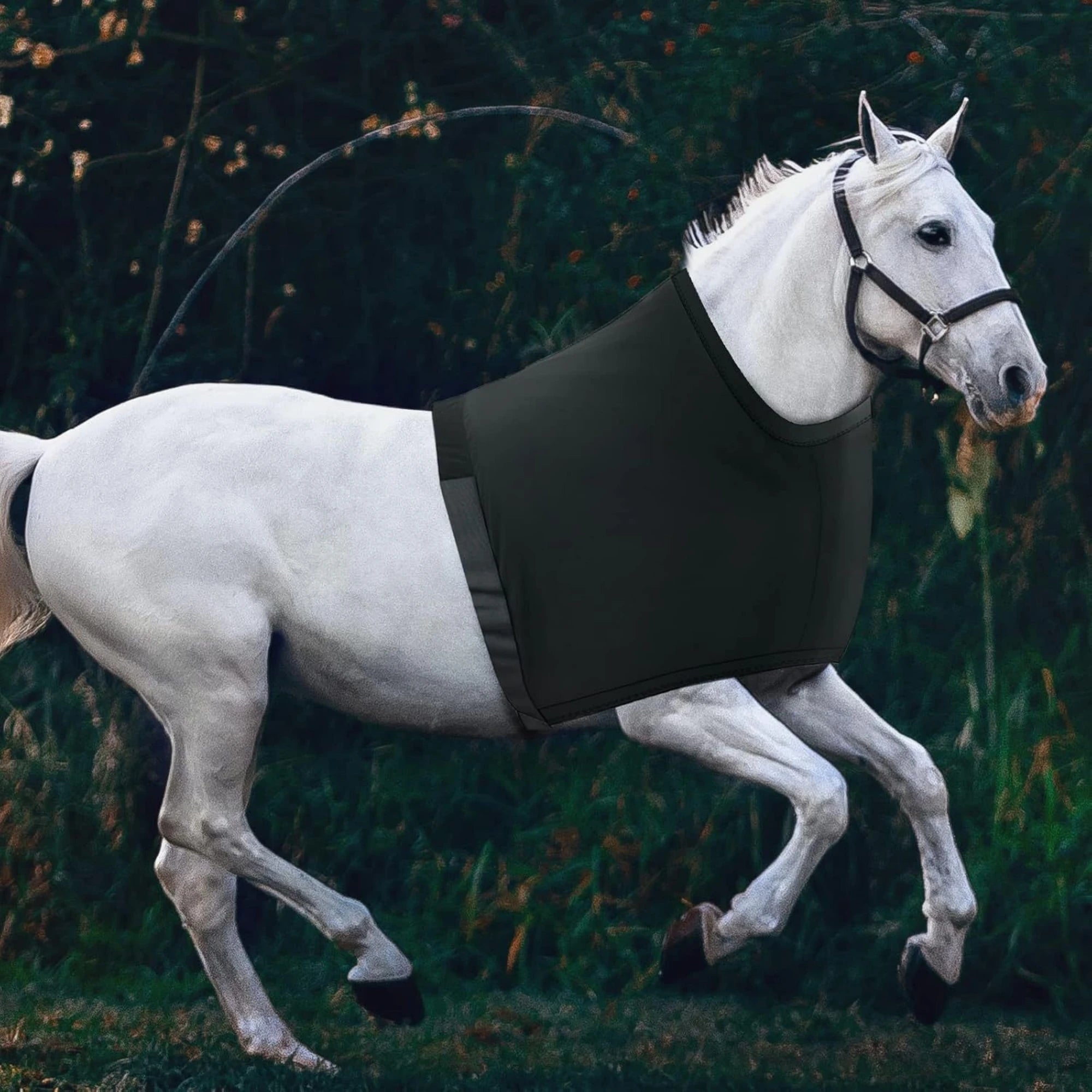 Atlas Shoulder Shield