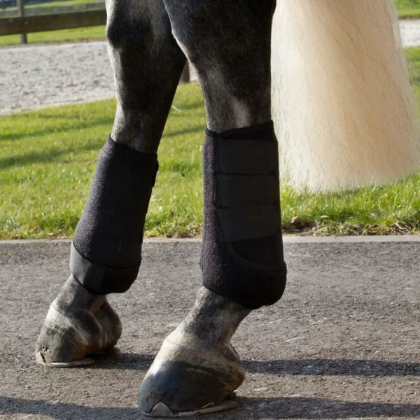 ColorStride - Performance Horse Boots Set