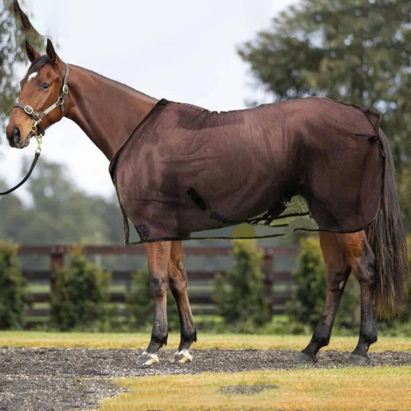 AeroShield - Equine Fly Sheet