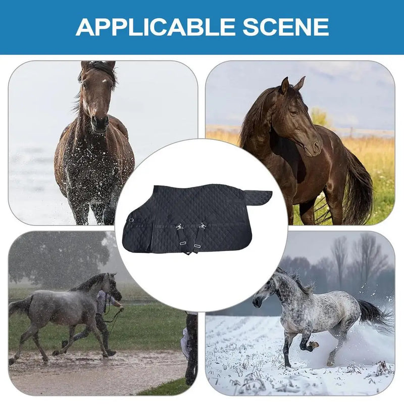 ClimaShield - Lightweight Horse Turnout Sheet