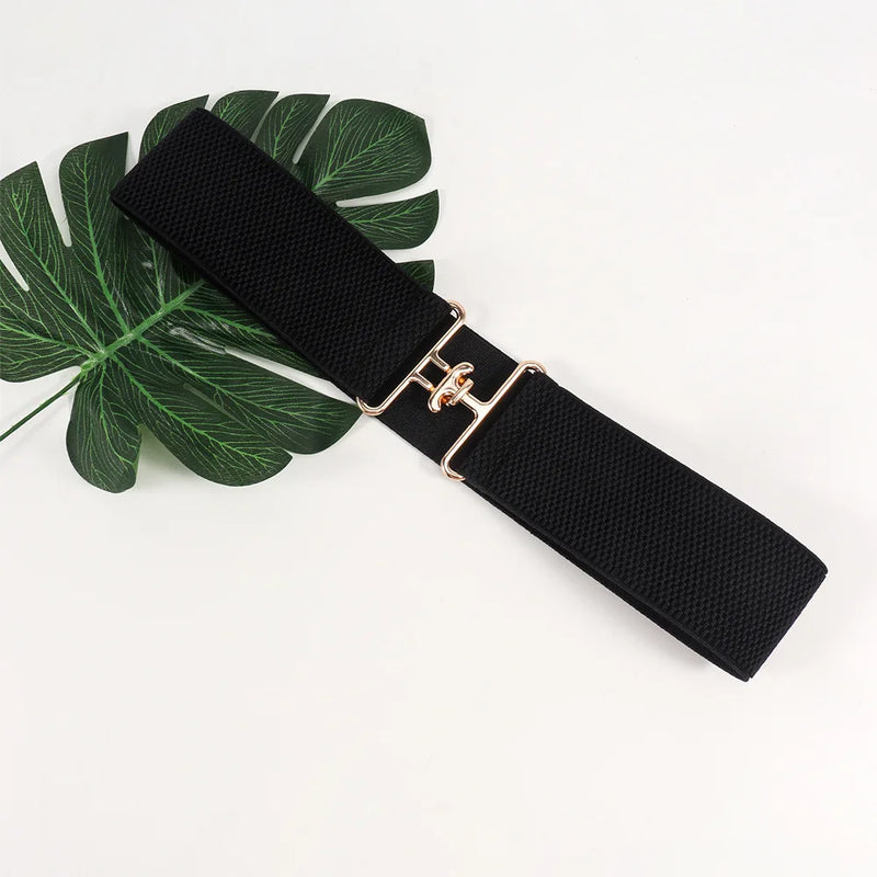 Stridé - Equestrian Belt